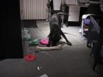 DSC01664.JPG