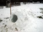 DSC02824.JPG