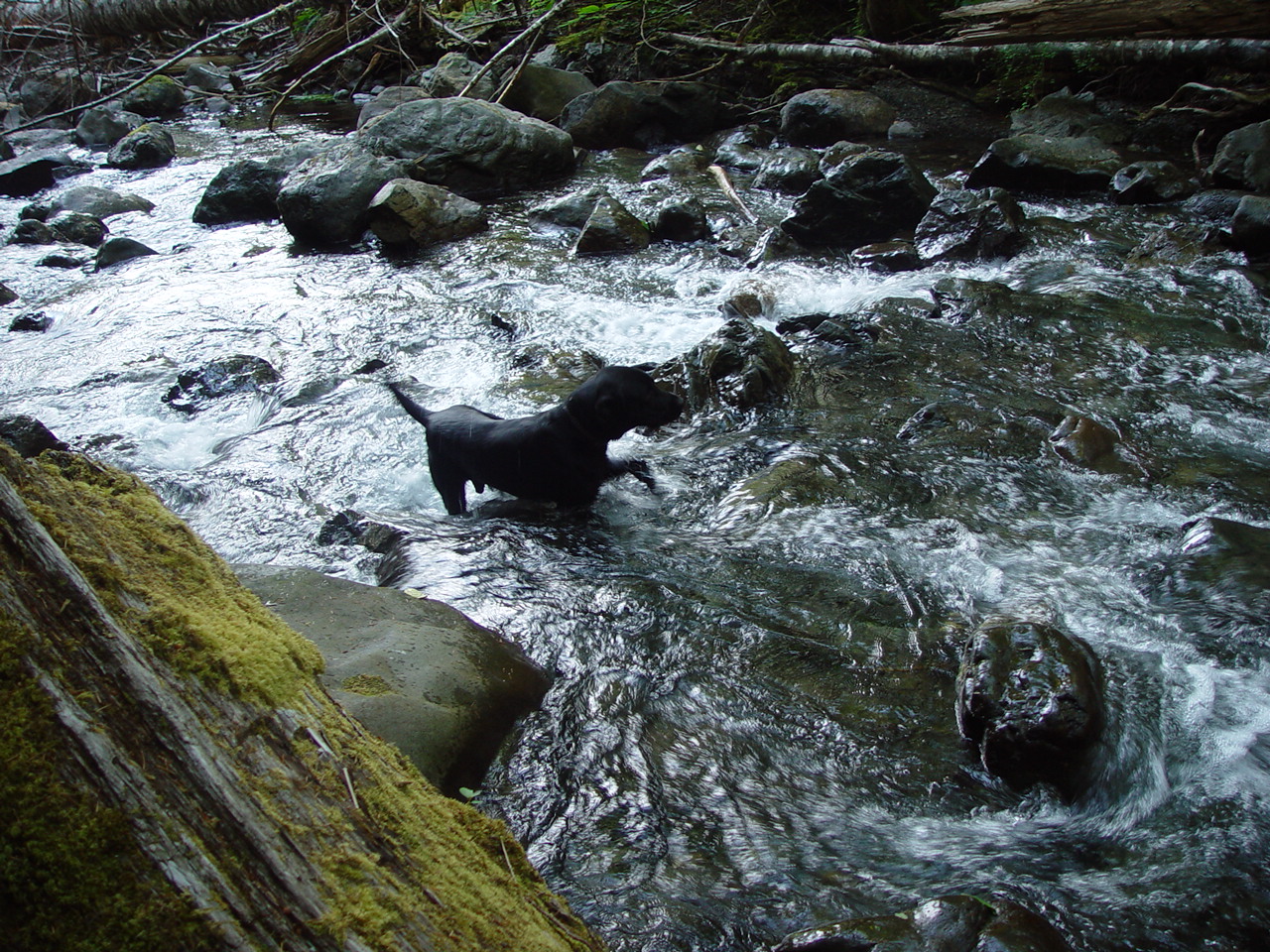 Camping Trip 039.jpg