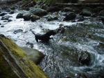 Camping Trip 039.jpg