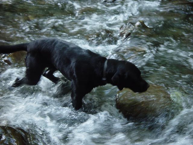 Camping Trip 041.jpg