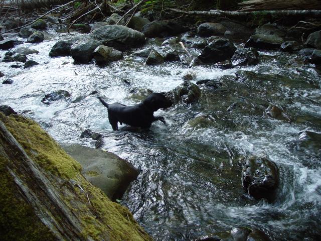 Camping Trip 039.jpg