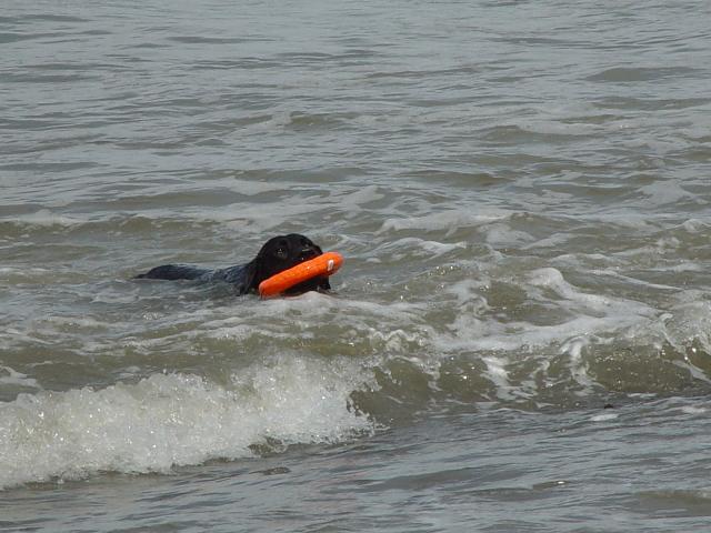 Camping Trip 079.jpg