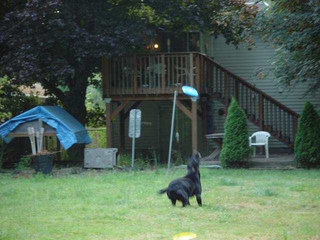 Tyler_Frisbee 010.jpg