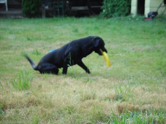 Tyler_Frisbee 019.jpg