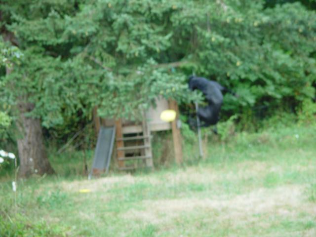 Tyler_Frisbee 025.jpg