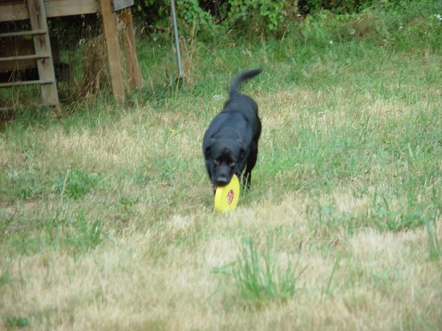 Tyler_Frisbee 042.jpg