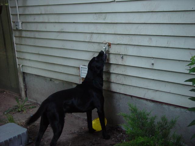 Tyler_Frisbee 049.jpg