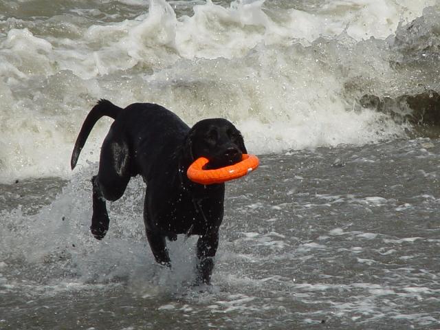 Camping Trip 080.jpg