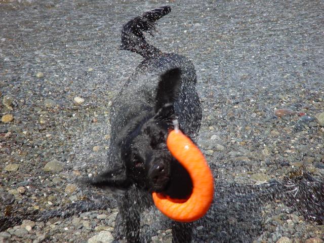 Camping Trip 068.jpg
