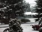 DSC01206.JPG