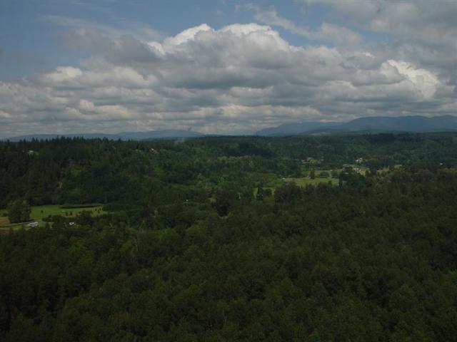 DSC02231 (Medium).JPG