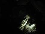 DSC01473.JPG