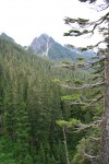 mountRainier 075.jpg