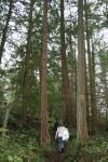 IMG_2383.JPG