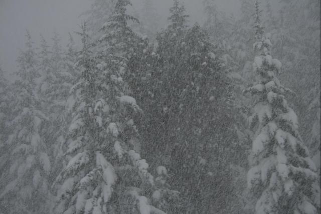 IMG_2159.JPG