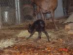 DSC02267.JPG