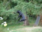 Tyler_Frisbee 040.jpg