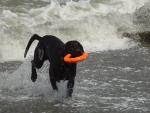 Camping Trip 080.jpg