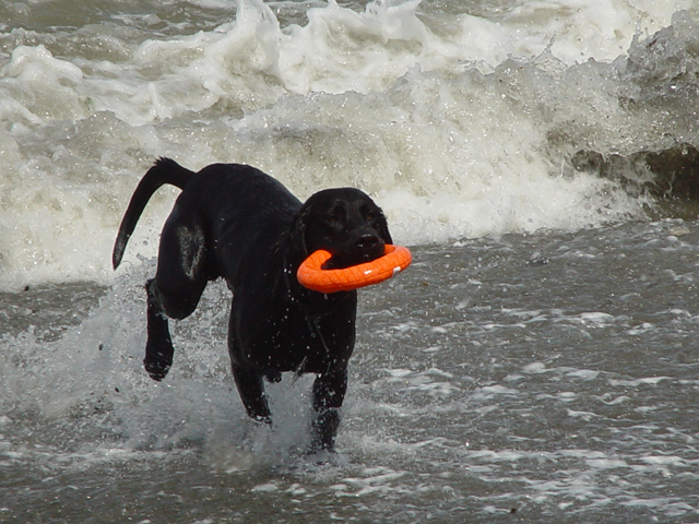 Camping Trip 080small.jpg